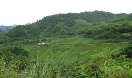 Mai Chau landscape