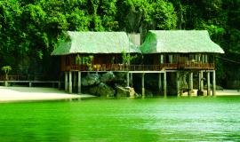 Cat Ba island landscape