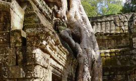 Siem Reap travel destination