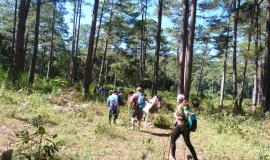 Da Lat travel destination